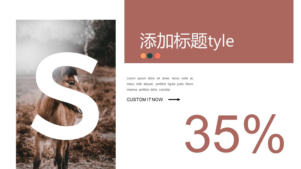 高级简约 (21).pptx